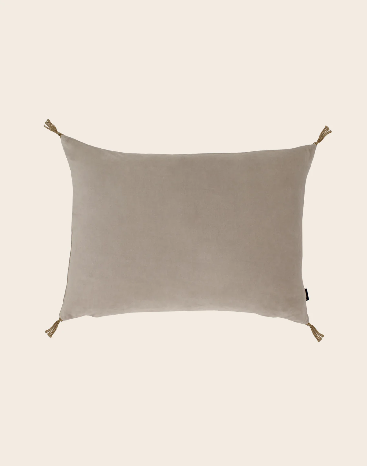 Housse de coussin Velours lavé 40x55