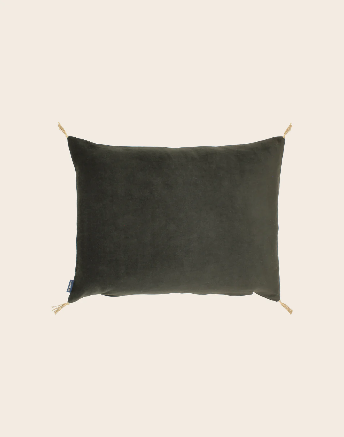 Housse de coussin Velours lavé 40x55